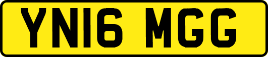YN16MGG