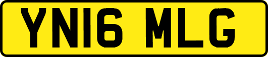 YN16MLG