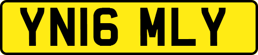 YN16MLY