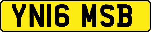 YN16MSB