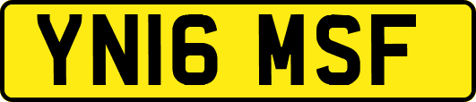 YN16MSF