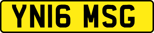 YN16MSG