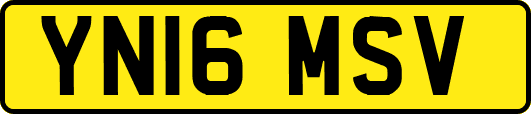 YN16MSV