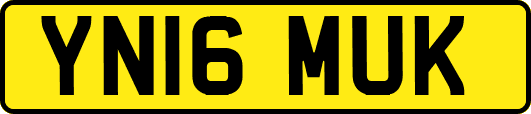 YN16MUK