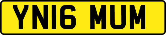 YN16MUM
