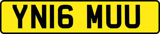 YN16MUU