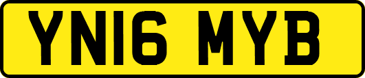 YN16MYB