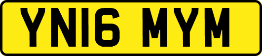 YN16MYM