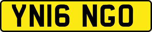 YN16NGO