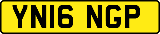 YN16NGP