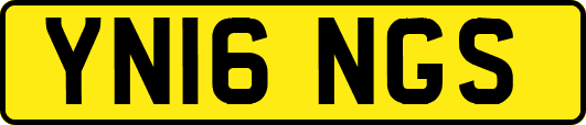 YN16NGS