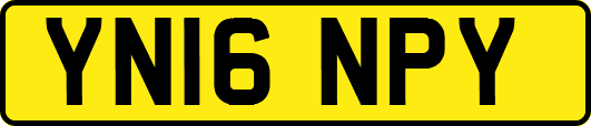 YN16NPY