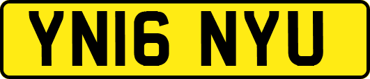 YN16NYU