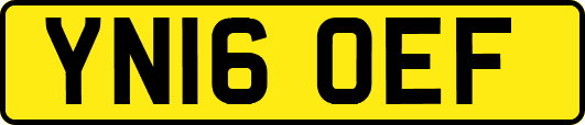 YN16OEF