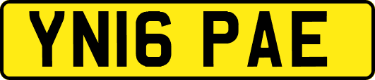 YN16PAE