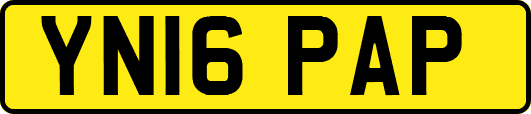YN16PAP