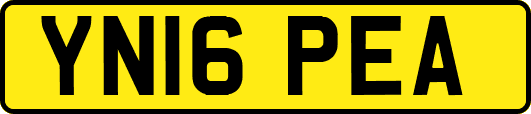YN16PEA
