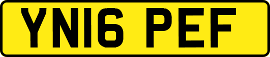 YN16PEF