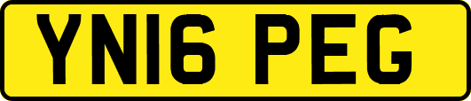 YN16PEG