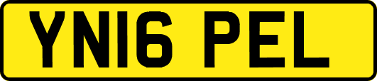 YN16PEL