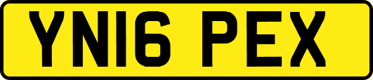 YN16PEX