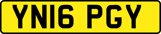 YN16PGY