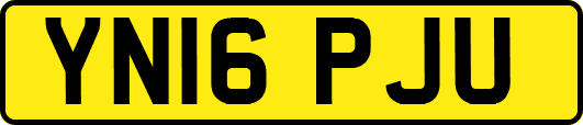 YN16PJU