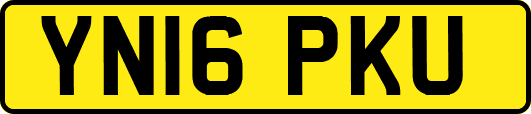 YN16PKU