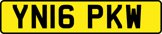 YN16PKW
