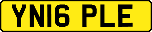 YN16PLE