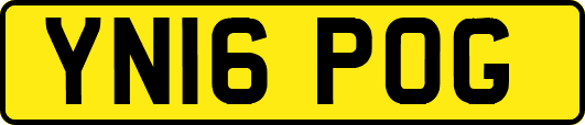 YN16POG