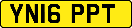 YN16PPT