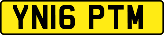 YN16PTM