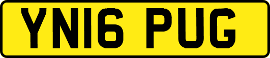 YN16PUG