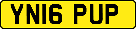 YN16PUP