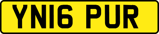 YN16PUR