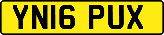 YN16PUX