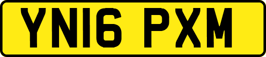 YN16PXM