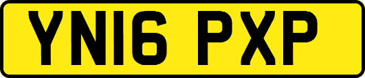 YN16PXP