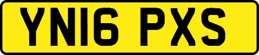 YN16PXS