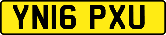 YN16PXU
