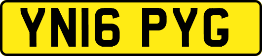 YN16PYG