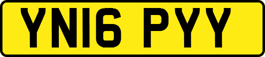 YN16PYY