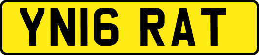 YN16RAT