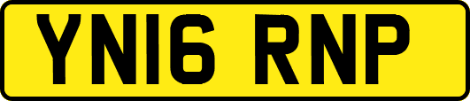 YN16RNP