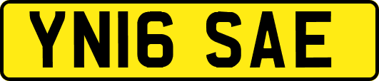 YN16SAE