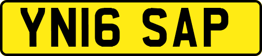 YN16SAP