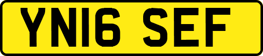 YN16SEF