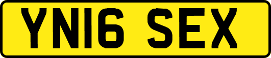 YN16SEX