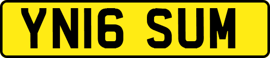 YN16SUM